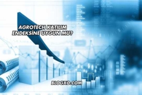 Agrotech Katılım Endeksine Uygun mu?