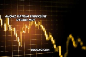 Ahgaz Katılım Endeksine Uygun mu?