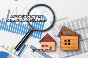 Arjantin'de Nelere Yatırım Yapılabilir 2025