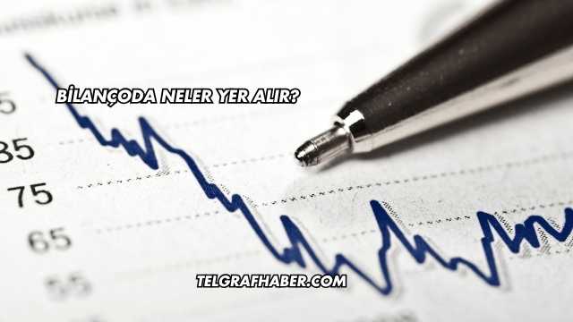 Bilançoda Neler Yer Alır?