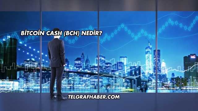Bitcoin Cash (BCH) Nedir?
