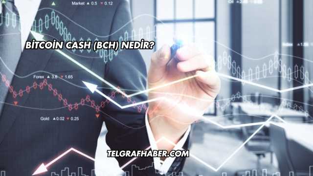 Bitcoin Cash (BCH) Nedir?