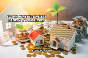 Bosna Hersek'te Nelere Yatırım Yapılmalıdır?