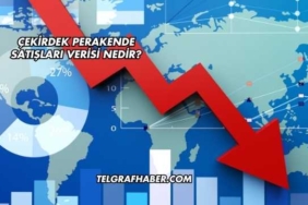 Çekirdek Perakende Satışları Verisi Nedir?