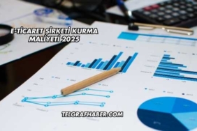 E-Ticaret Şirketi Kurma Maliyeti 2025
