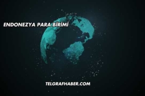 Endonezya Para Birimi