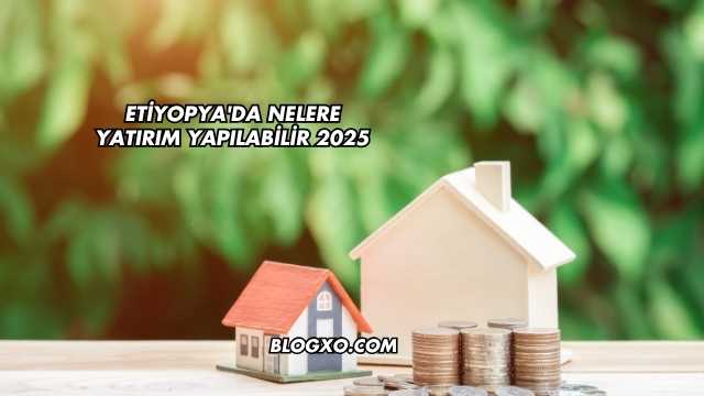 Etiyopya'da Nelere Yatırım Yapılabilir 2025