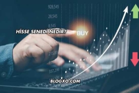 Hisse Senedi Nedir?