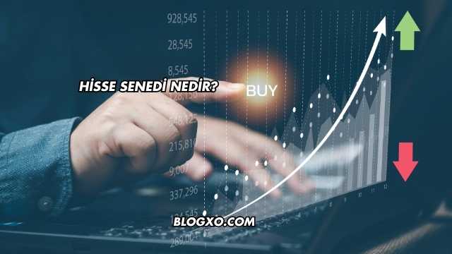 Hisse Senedi Nedir?
