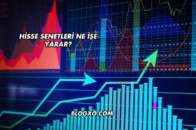 Hisse Senetleri Ne İşe Yarar?