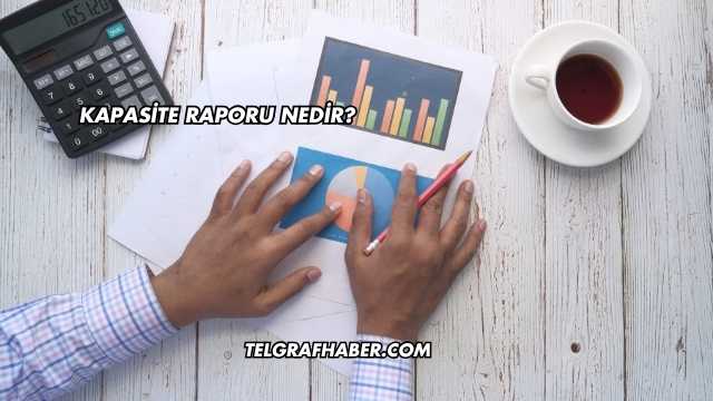 Kapasite Raporu Nedir?