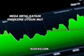 Mega Metal Katılım Endeksine Uygun mu?