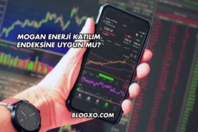 Mogan Enerji Katılım Endeksine Uygun mu?