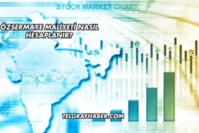 Özsermaye Maliyeti Nasıl Hesaplanır?