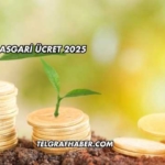 Rusya Asgari Ücret 2025