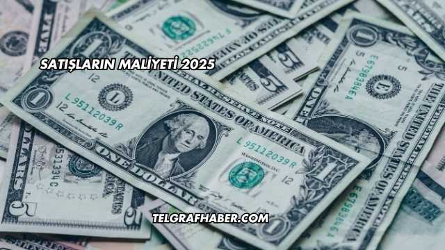 Satışların Maliyeti 2025
