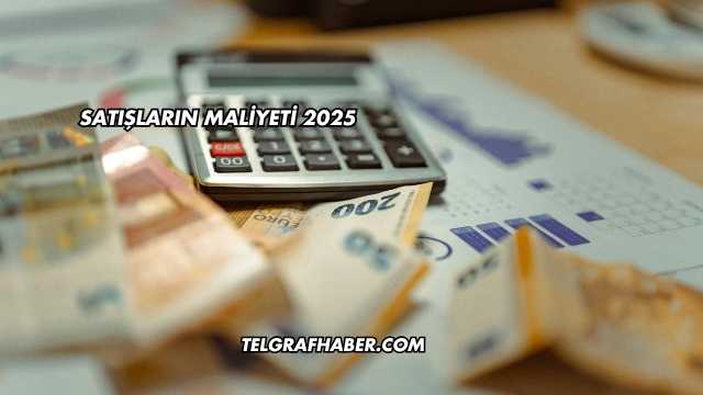 Satışların Maliyeti 2025