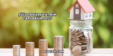 Şili'de Nelere Yatırım Yapılabilir 2025