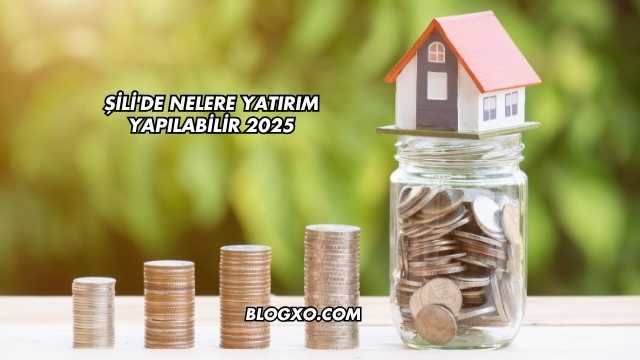 Şili'de Nelere Yatırım Yapılabilir 2025