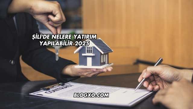 Şili'de Nelere Yatırım Yapılabilir 2025