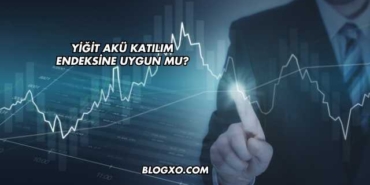 Yiğit Akü Katılım Endeksine Uygun mu?