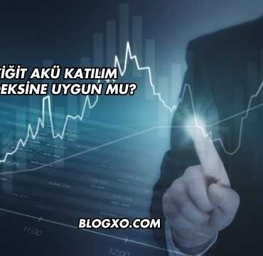 Yiğit Akü Katılım Endeksine Uygun mu?