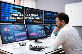 Yiğit Akü Katılım Endeksine Uygun mu?