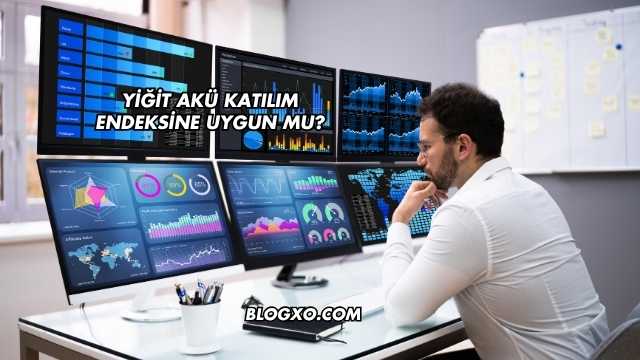 Yiğit Akü Katılım Endeksine Uygun mu?