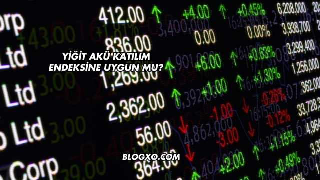 Yiğit Akü Katılım Endeksine Uygun mu?