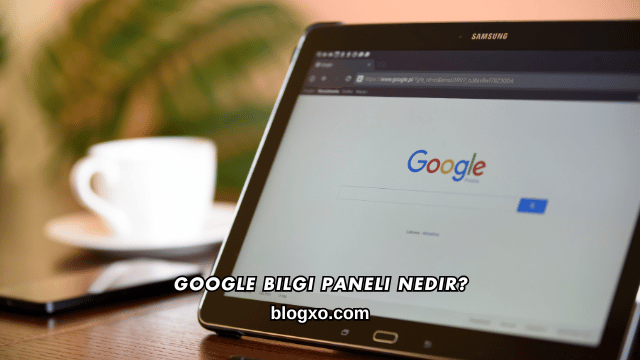 Google Bilgi Paneli Nedir?