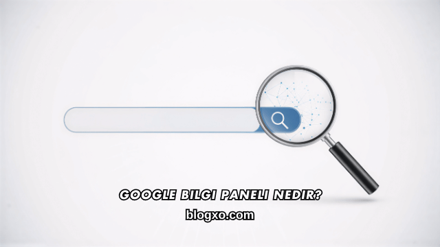 Google Bilgi Paneli Nedir?